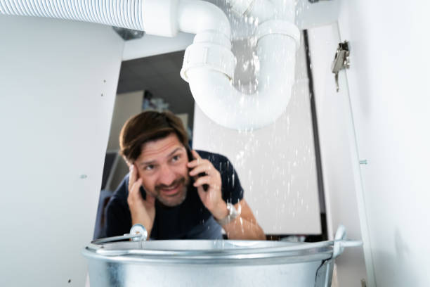 Professional Plumbing in Moscow, PA